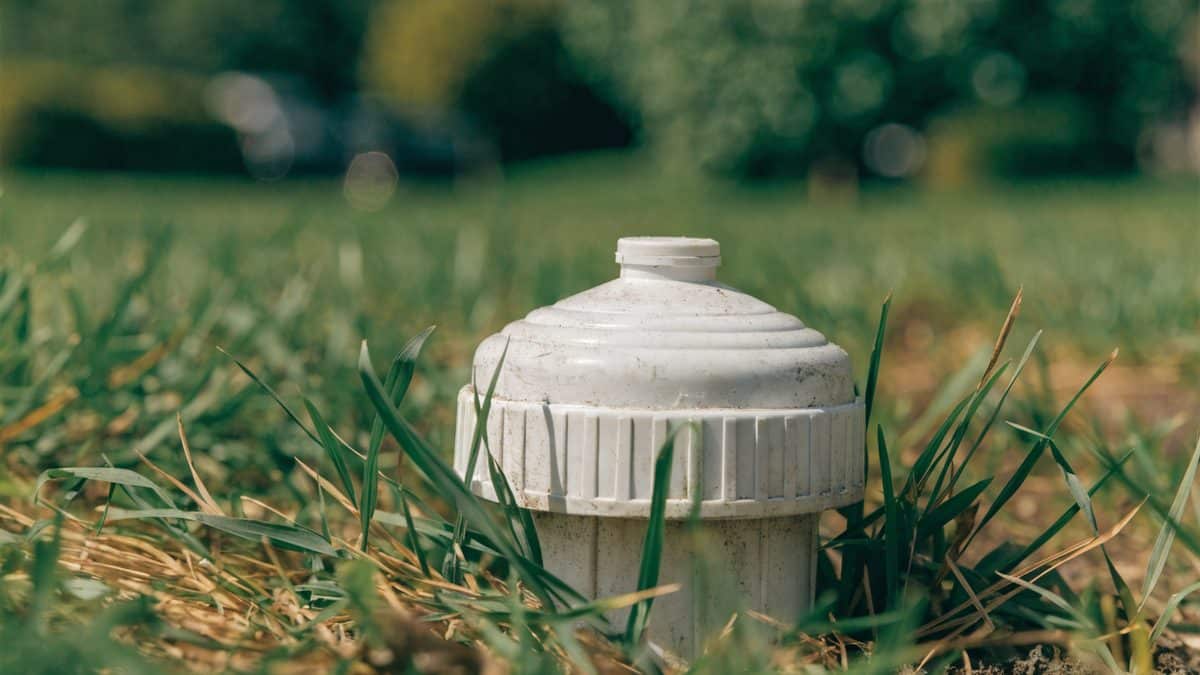 Close-up of a white PVC sewer cleanout pipe cap in a lawn, symbolic of the insured property