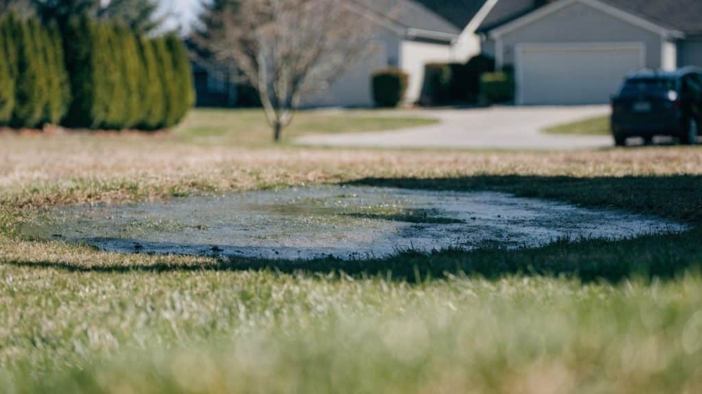Patch of suburban lawn that is unusually wet and slightly sunken above a buried pipe run, daytime, documentary style
