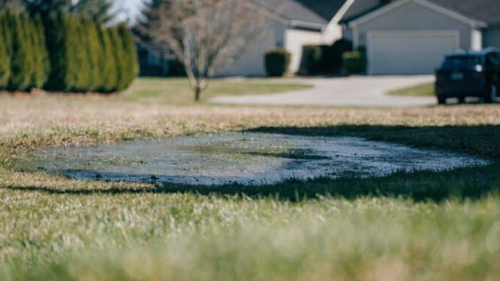 Patch of suburban lawn that is unusually wet and slightly sunken above a buried pipe run, daytime, documentary style